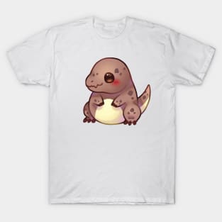 Dinosaur T-Shirt